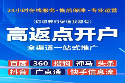 百度竞价包年推广策略——某行业巨头的成功经验